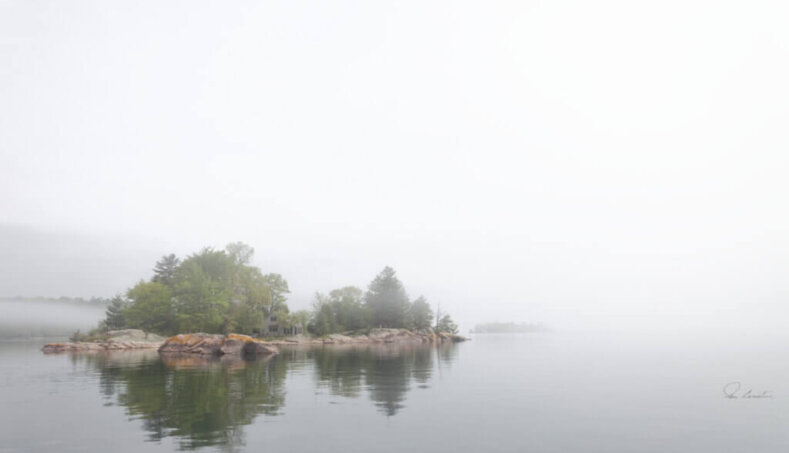 Coristine-fog-sig-2 Coristine-fog-sig-2